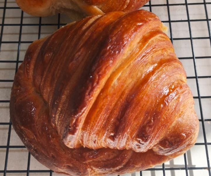 🥐 Luna Salvaje