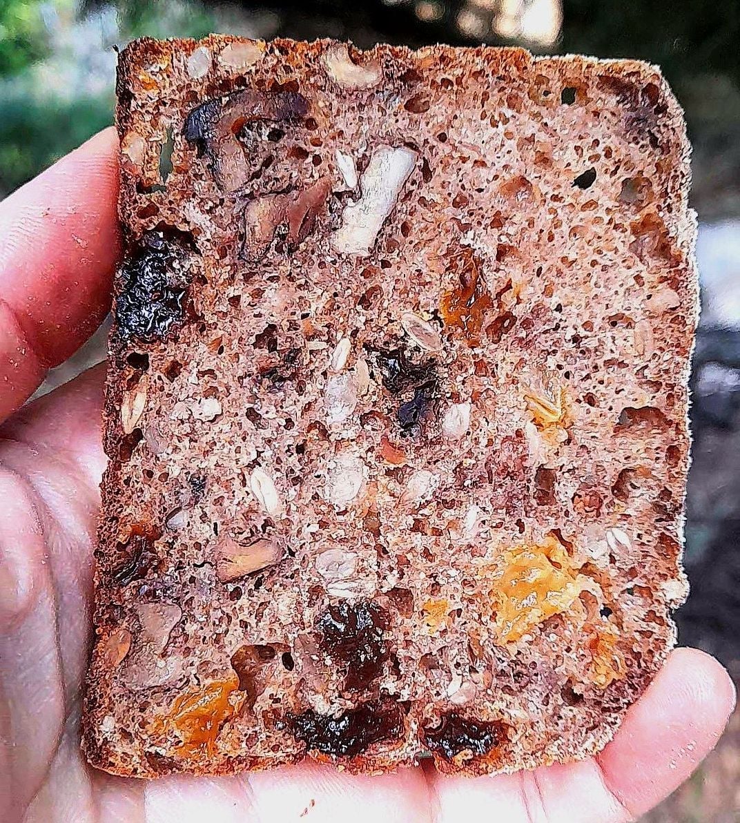 GERMAN (Vollkornbrot) de molde Ⓥ 🆓🥛