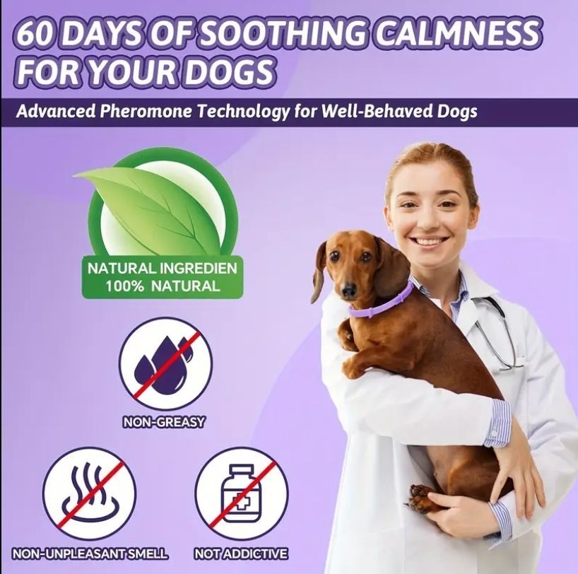 Calming Collar for Dogs