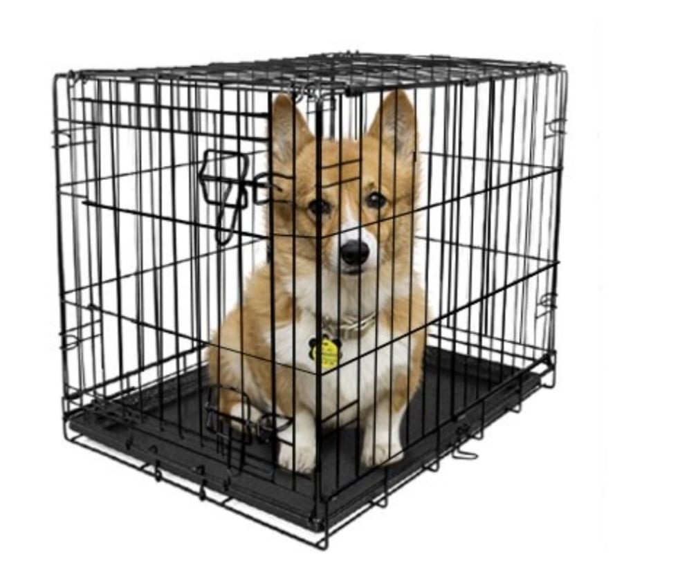 24"L x 17.5"W x 20"H Single-Door Folding Crate