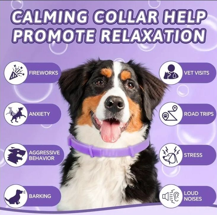 Calming Collar for Dogs