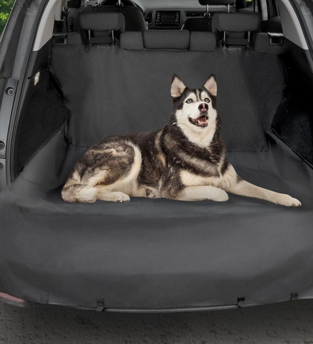 3-in-1 Auto Protector