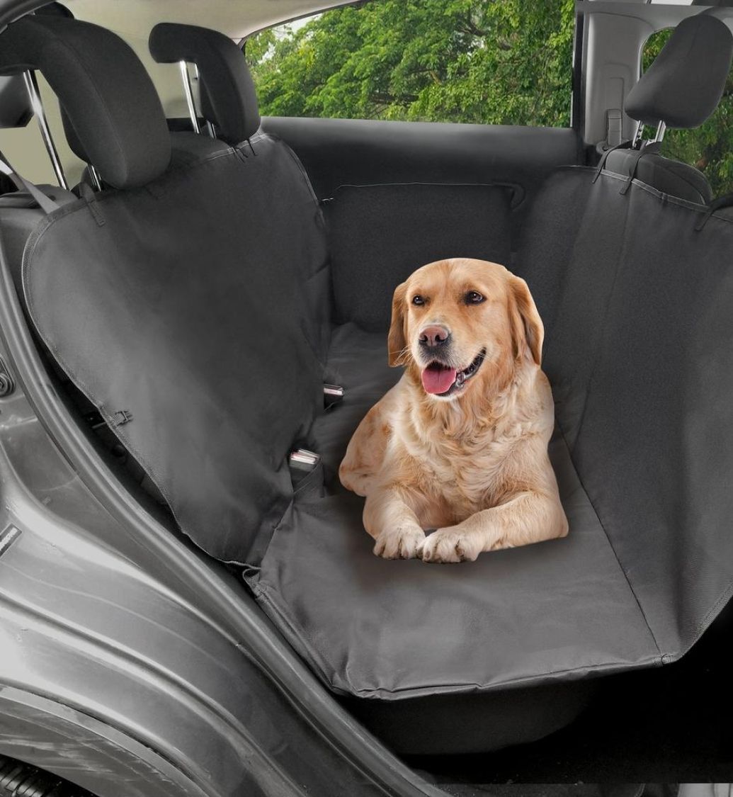 3-in-1 Auto Protector