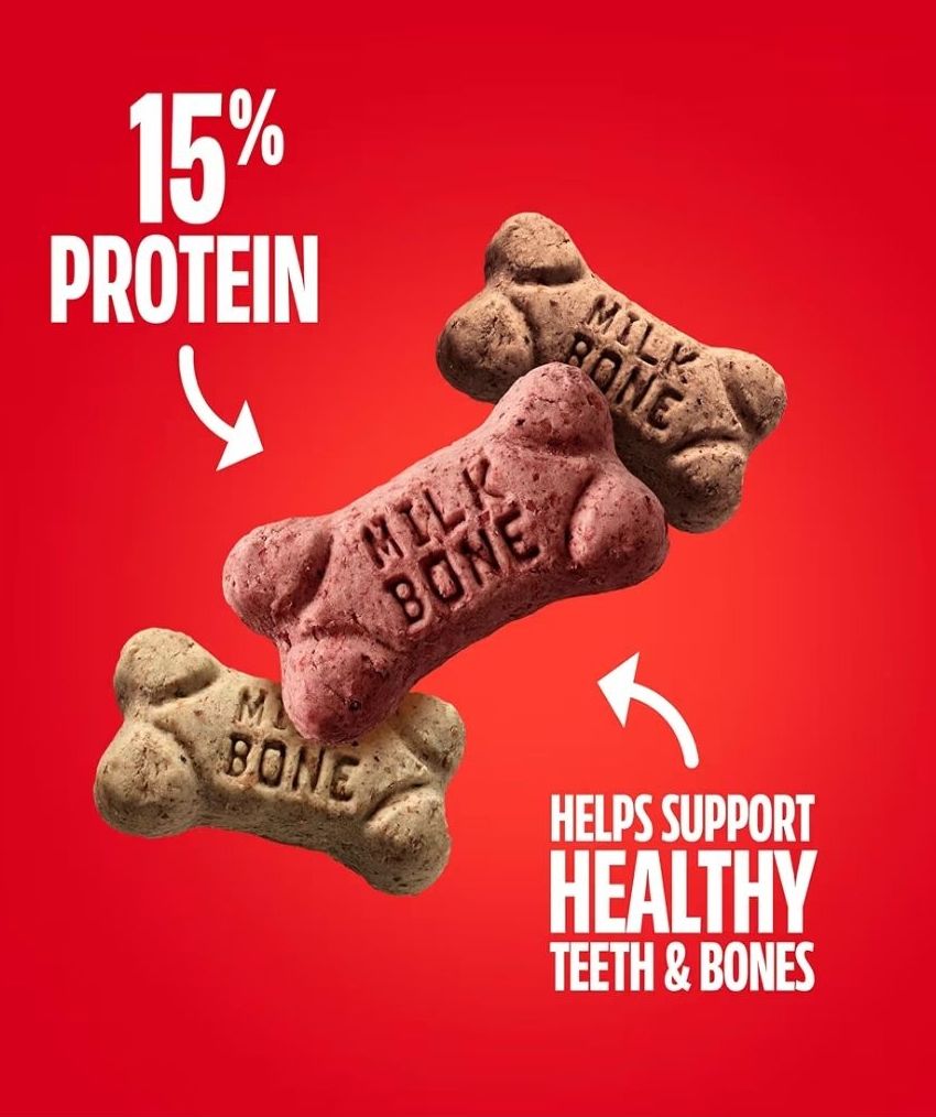 Milk-Bone Flavor Snacks Mini’s Dog Treats