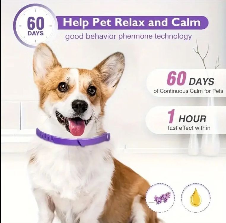 Calming Collar for Dogs