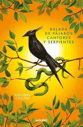 Balada de Pajaros Cantores y Serpientes - Pasta Suave