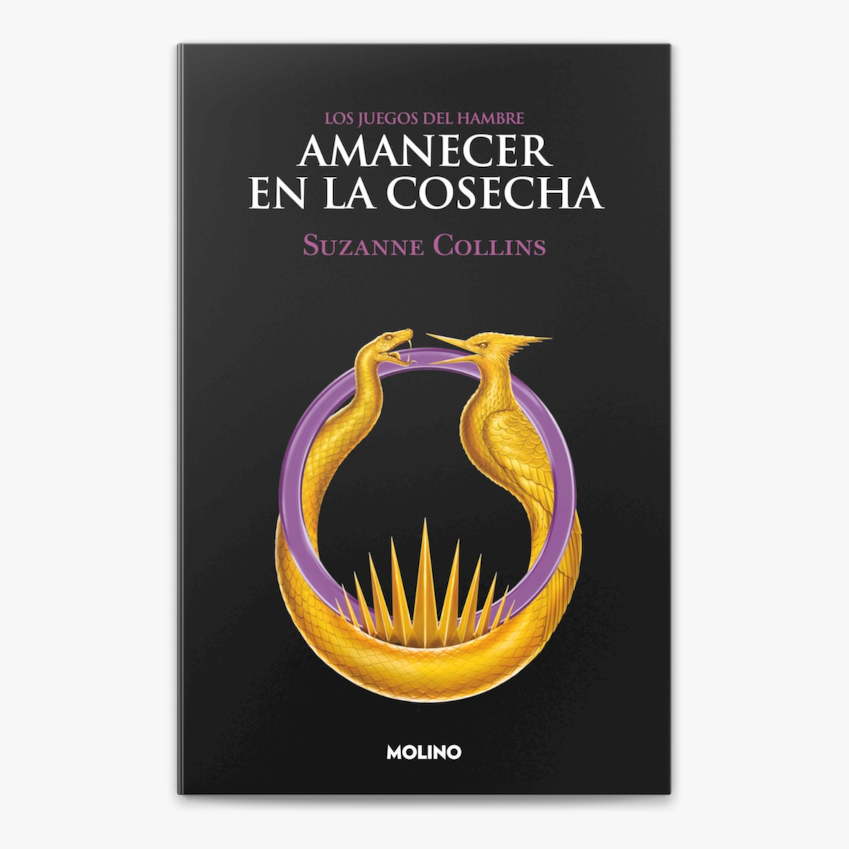 Amanecer en la Cosecha