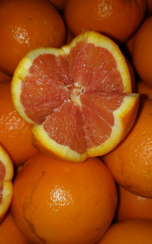 Laranja Cara Cara (POLPA VERMELHA) kg
