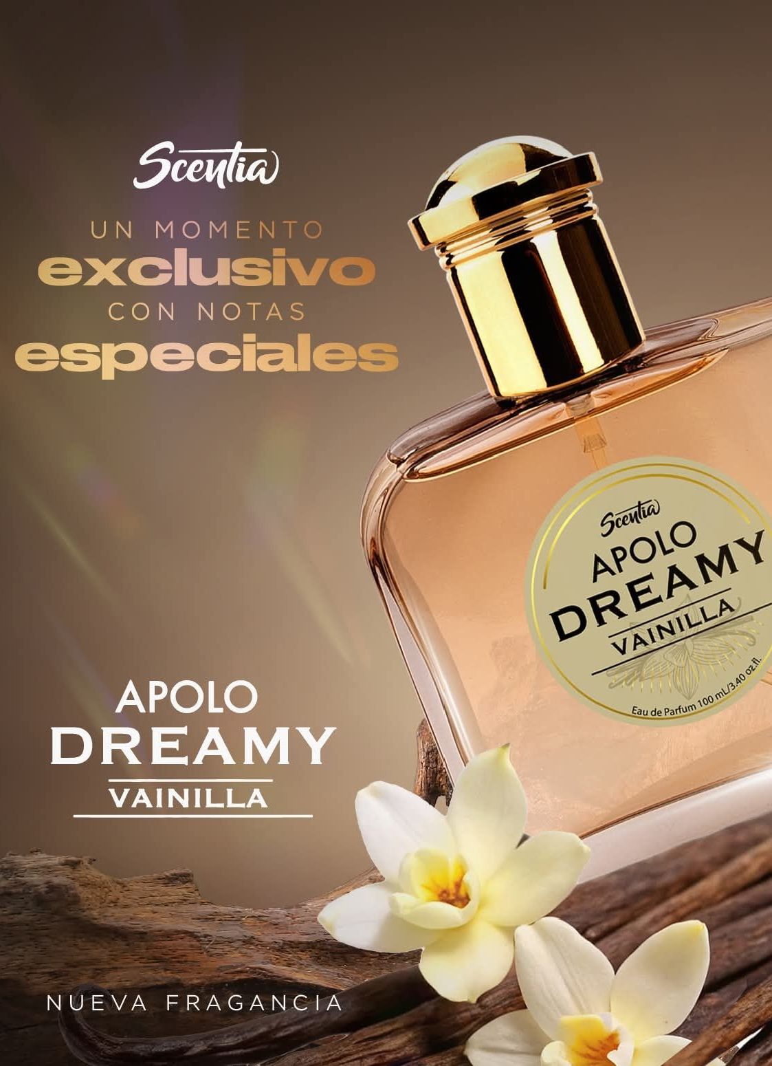 Apolo Dreamy Vainilla 100 ml