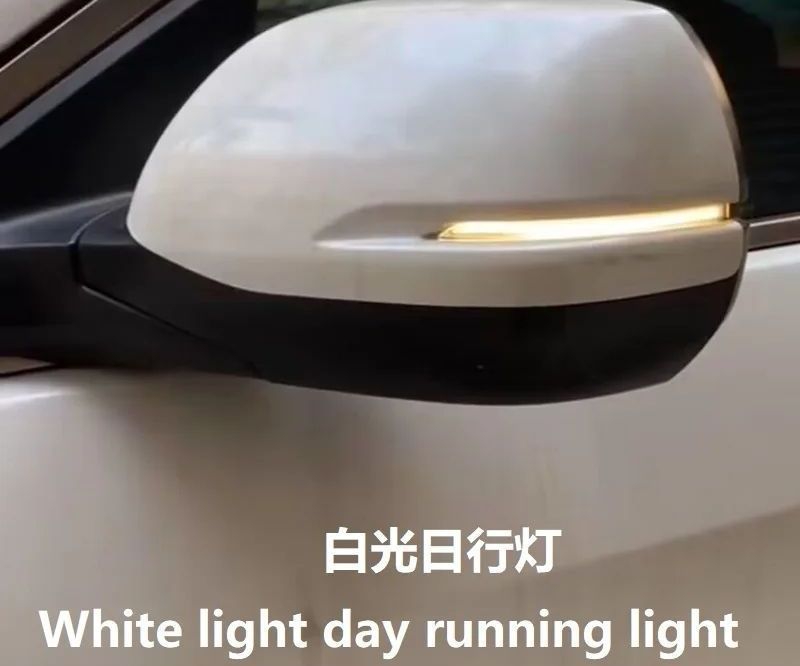 3 functions Side Mirror Dynamic Led Signal - Honda
