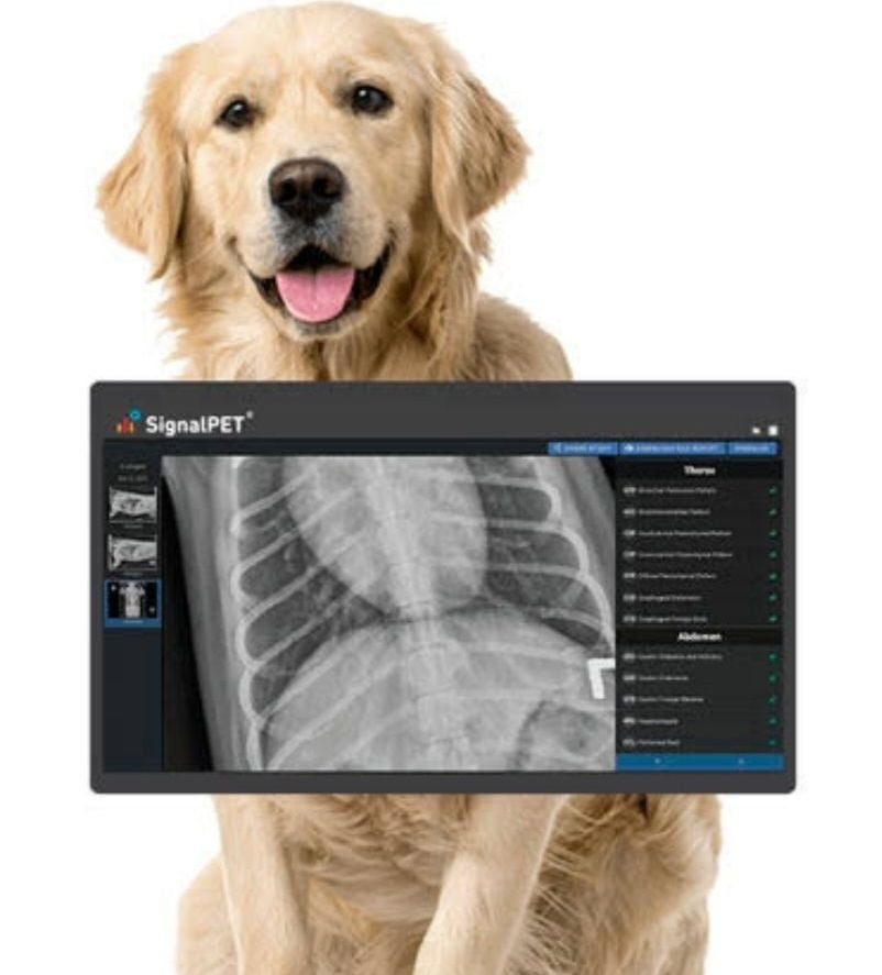 Toma radiografica