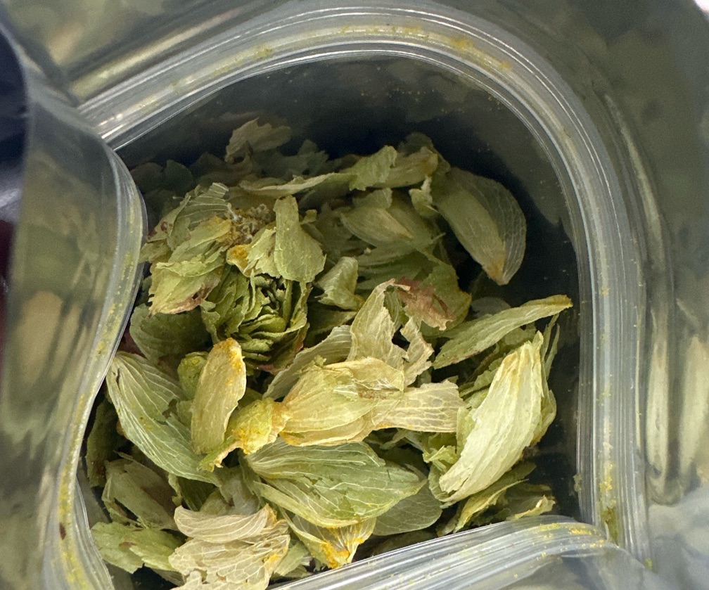 Lupulo (Comet) 10g Lote premiun