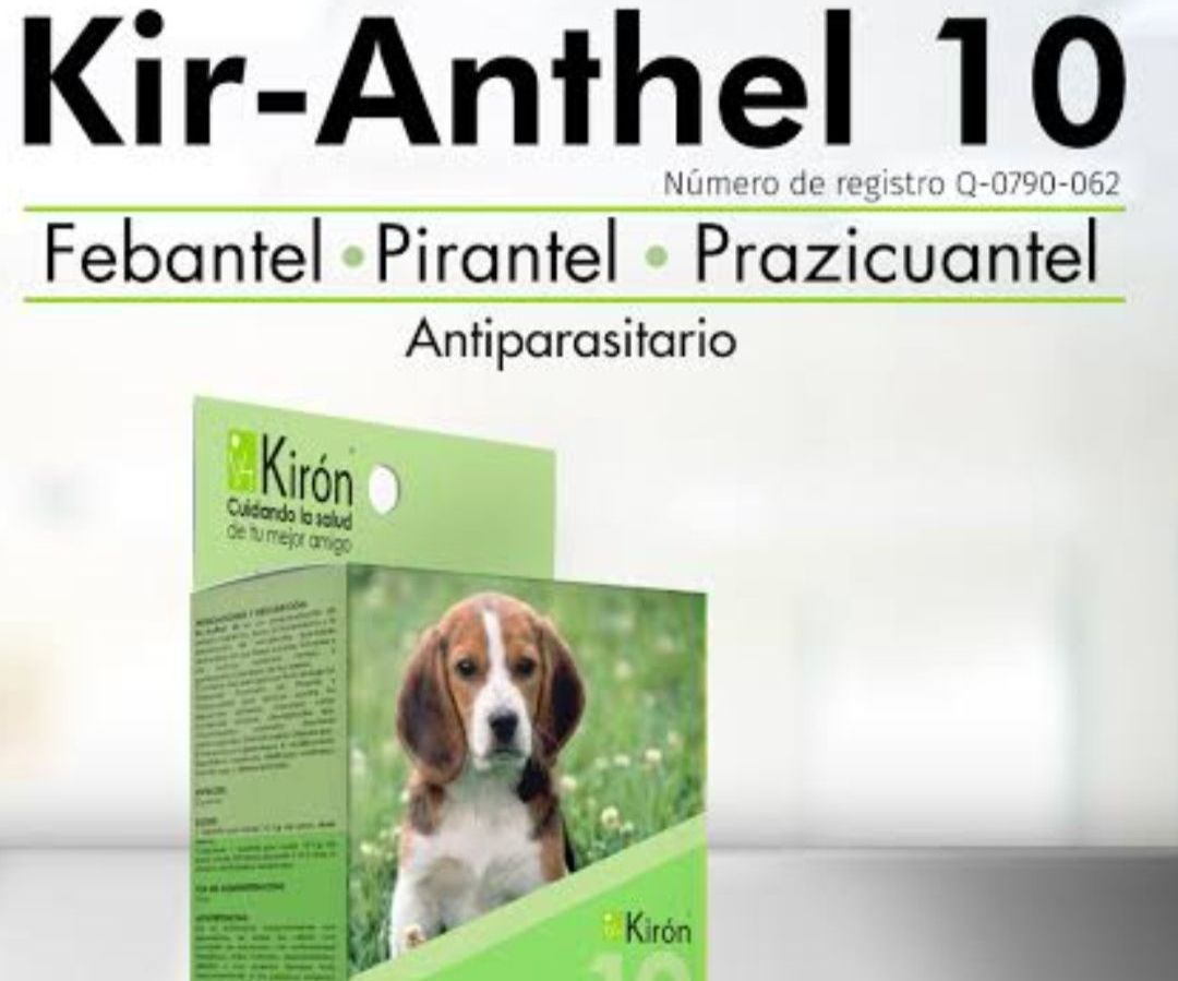 Desparasitante en tableta mascota mediana