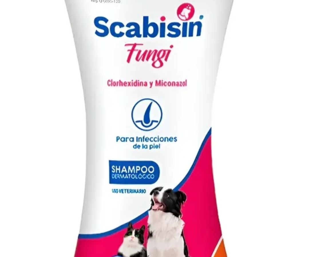 Shampoo fungi 250ml