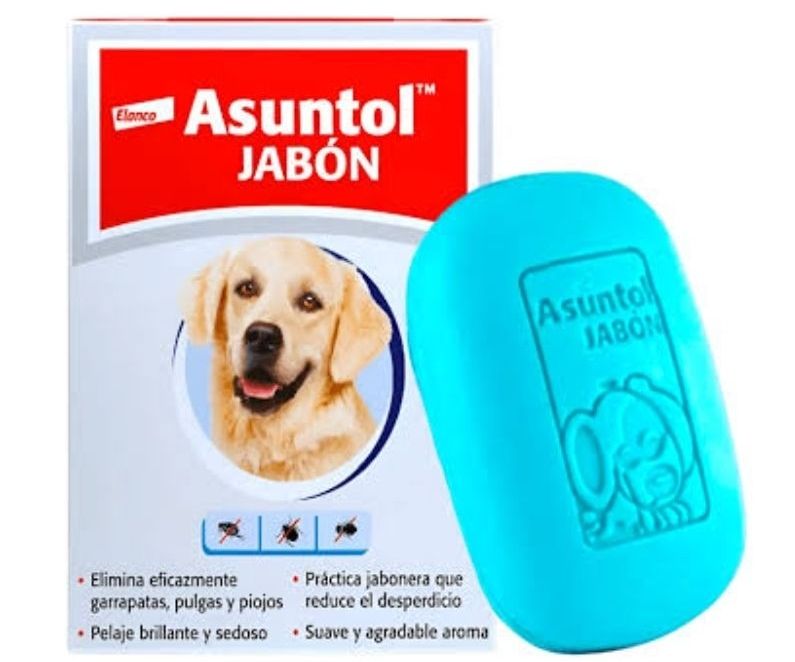 Asuntol Jabón con Solución a la Infestación por Pulgas, Piojos, Garrapatas para Perro, 100 g