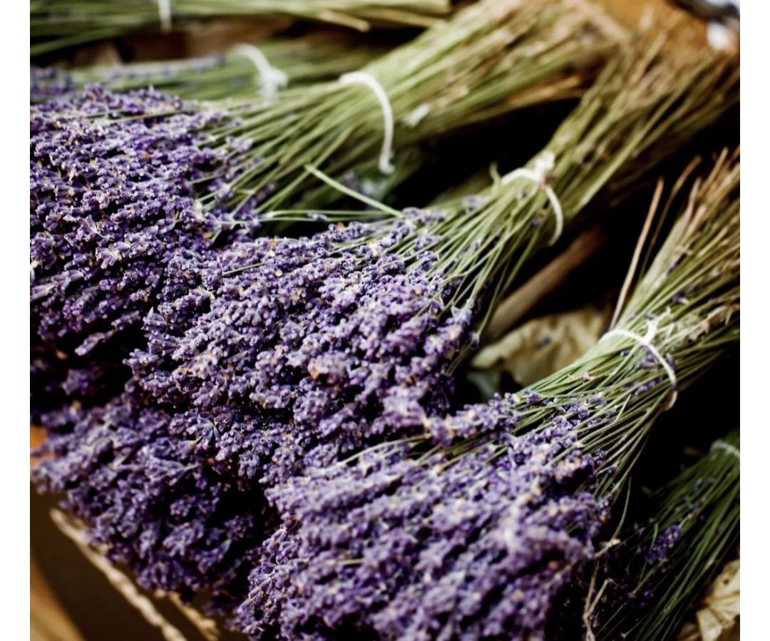 Fragancia Lavanda Francesa 1 Onza