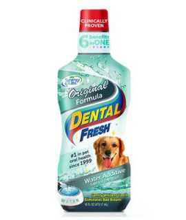 dental fresh 32oz