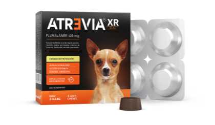 Atrevia XR Mini
