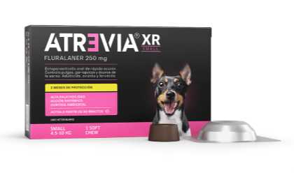 Atrevia XR Small