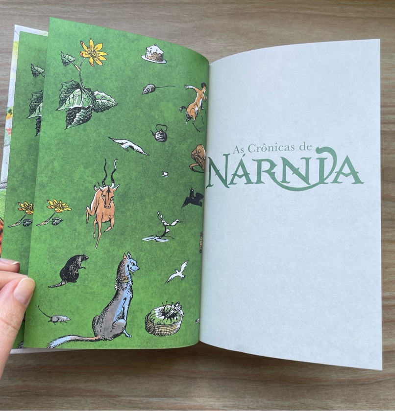 Crônicas de Nárnia - o Leão, a Feiticeira e o guarda roupa