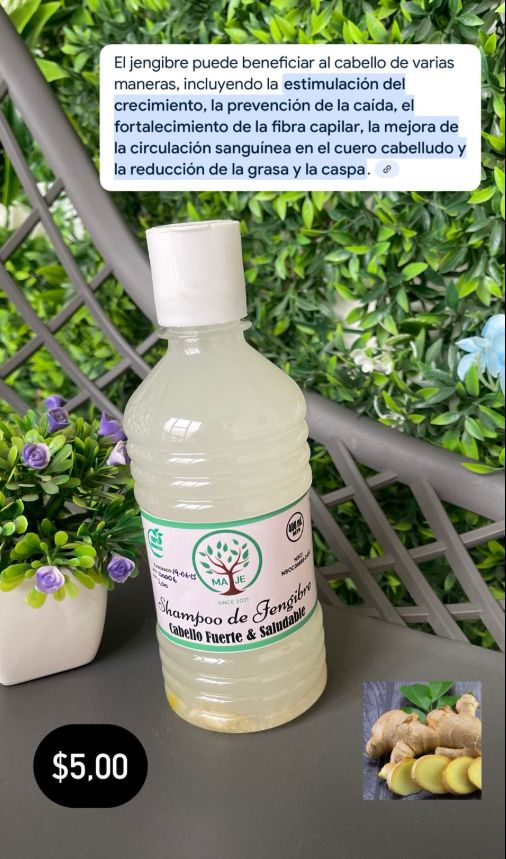 Shampoo de Jengibre