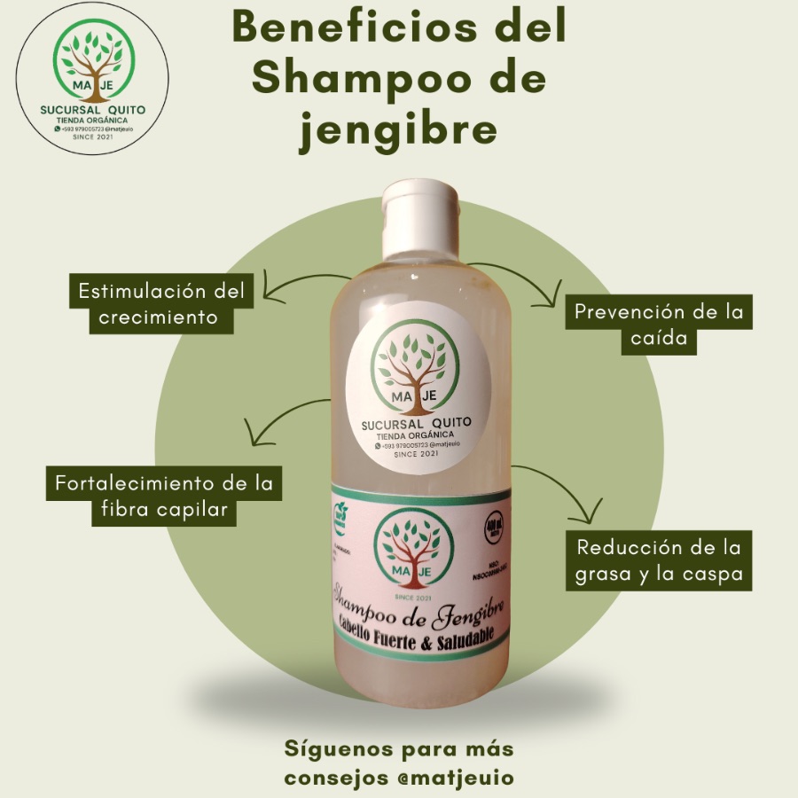 Shampoo de Jengibre