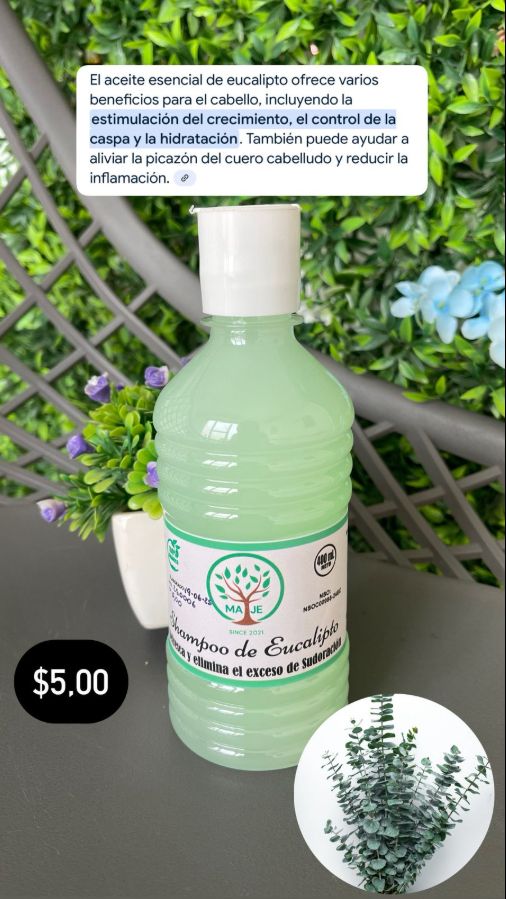 Shampoo de Eucalipto