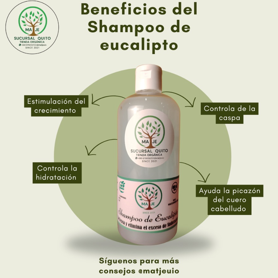 Shampoo de Eucalipto