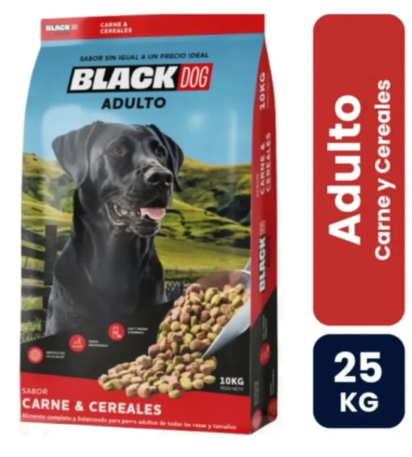 Black Dog perro Adulto