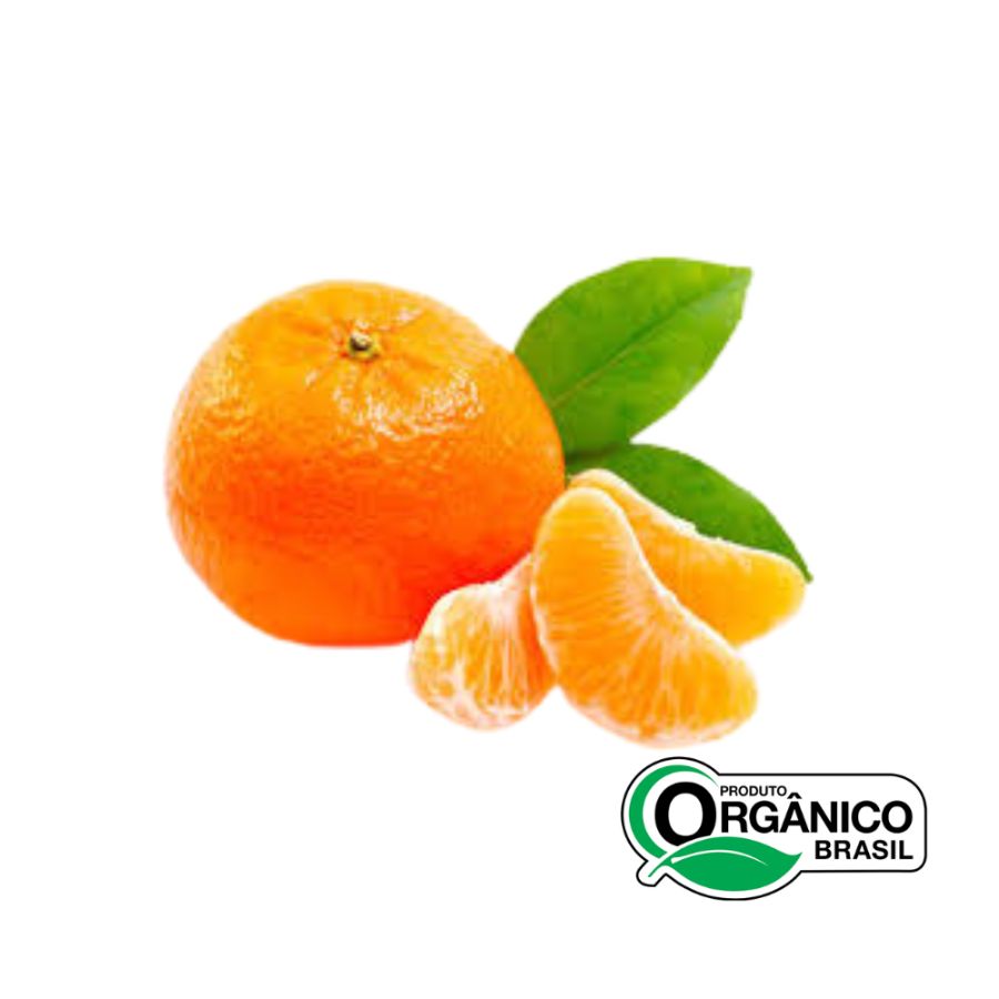 Bergamota Olé orgânica