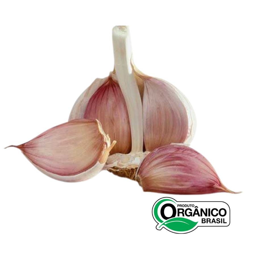 Alho roxo orgânico