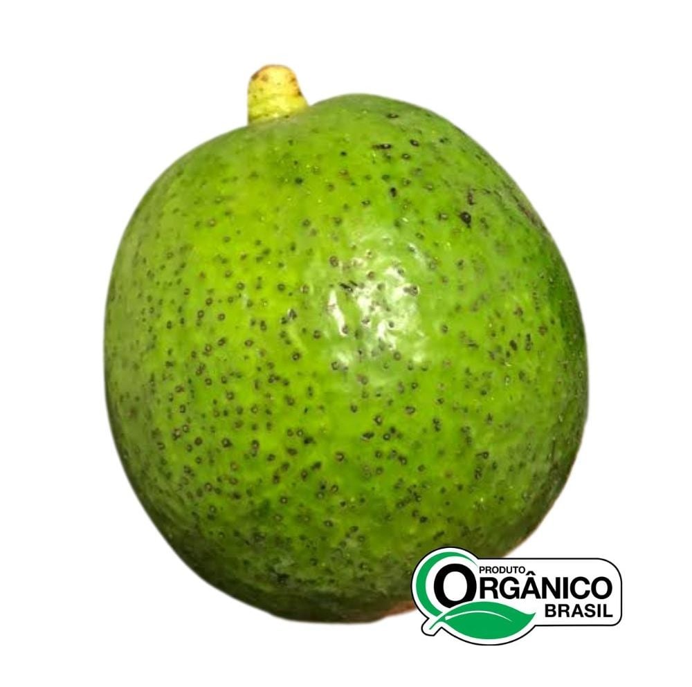Abacate Margarida orgânico