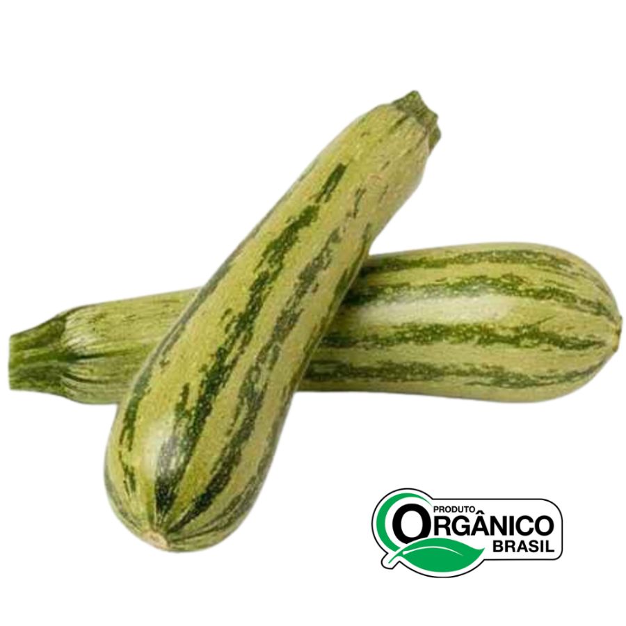 Abobrinha italiana orgânica