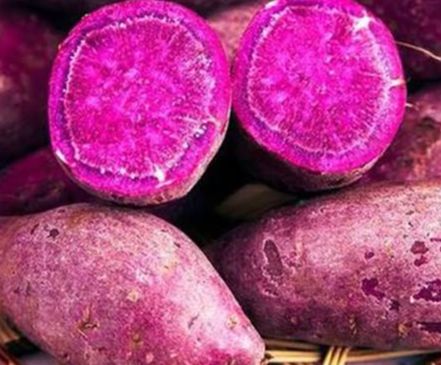 CAMOTE MORADO AGROEOCLOGICO (KILO)