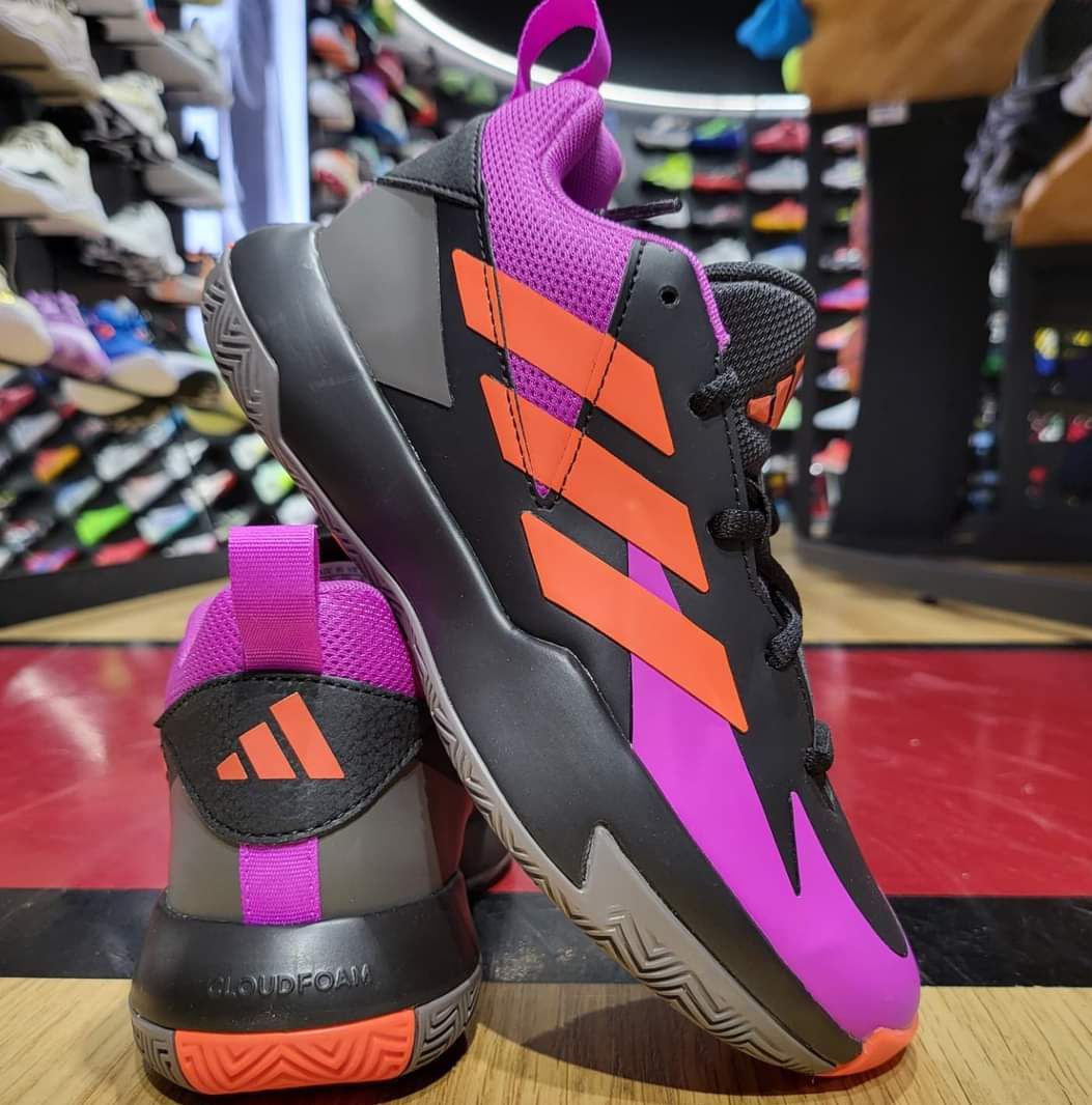 Zapatillas