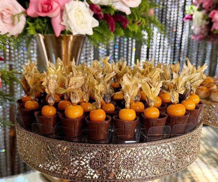 Cachepote Physalis De Chocolate