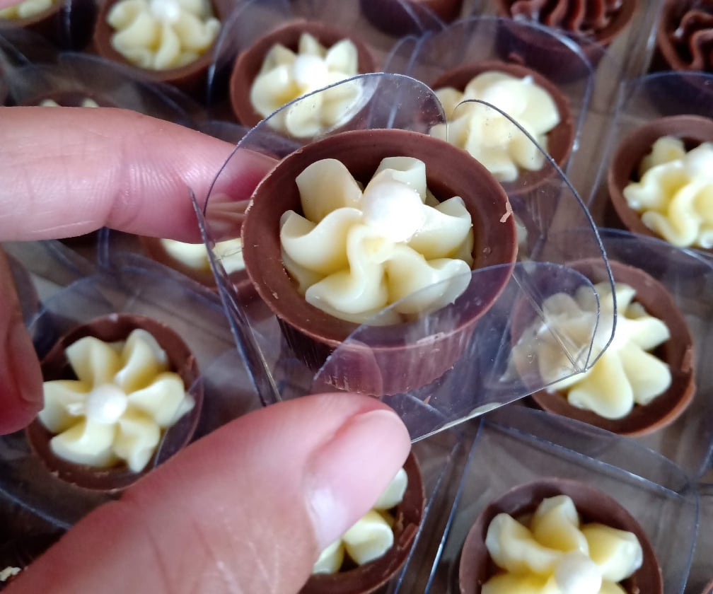 Cachepote Forma Alpino Sabores