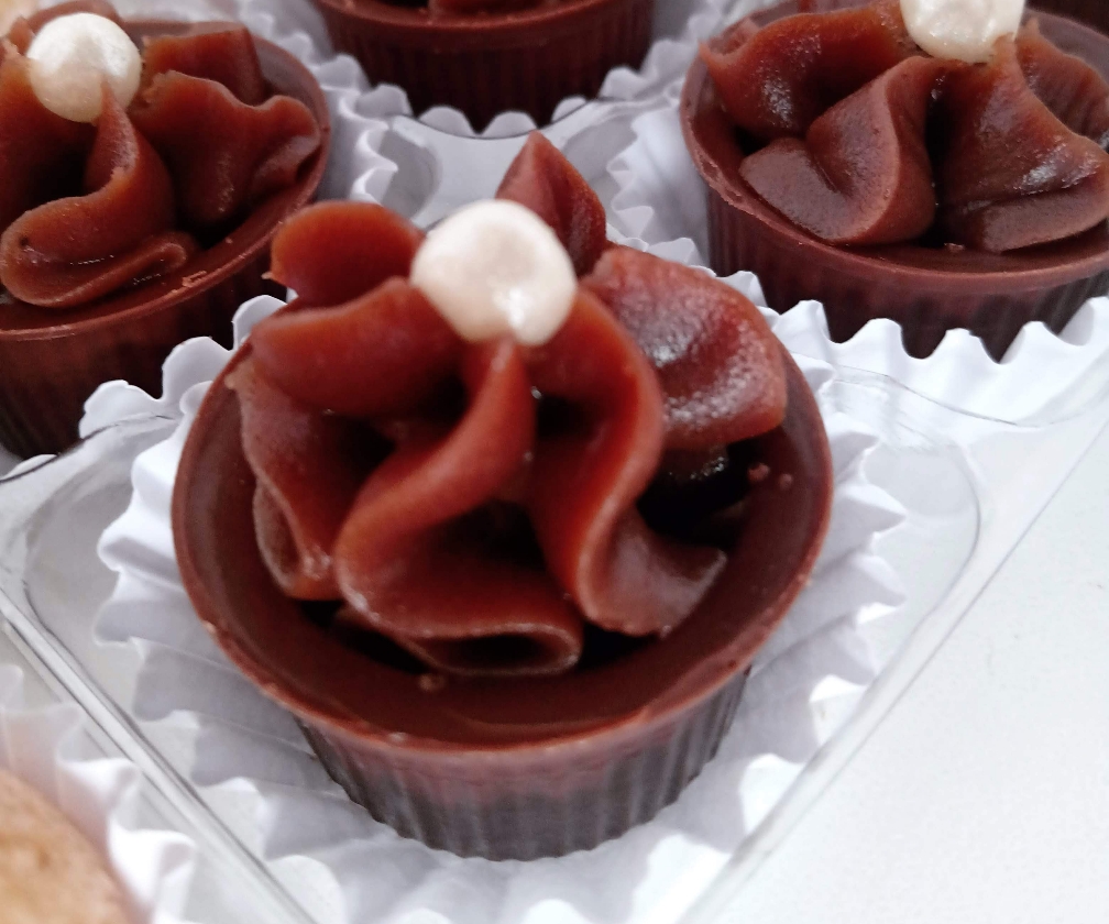 Cachepote Forma de Alpino Trufado