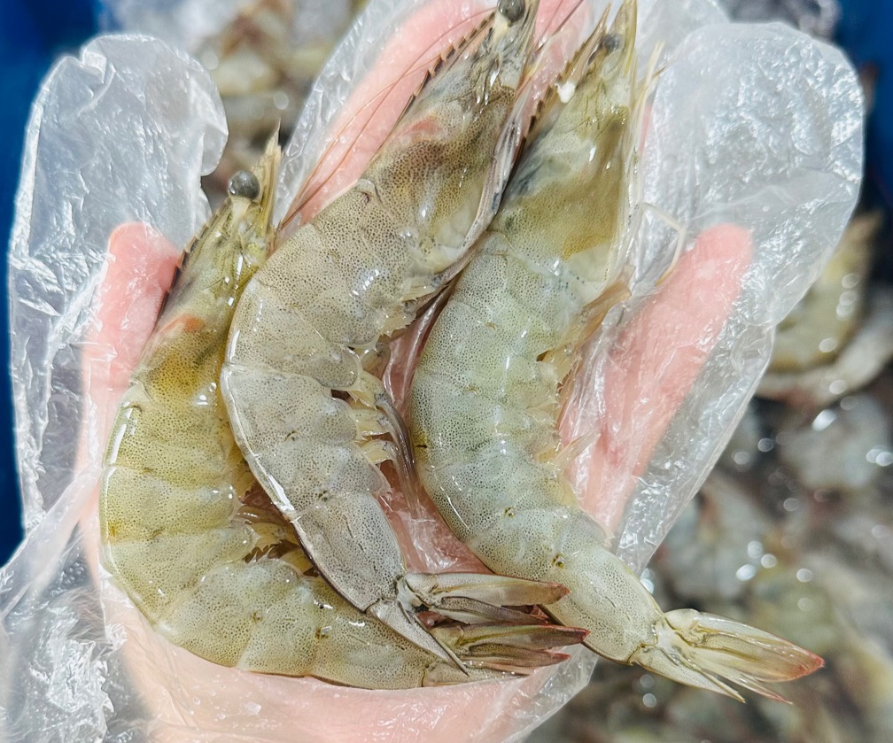 Camarão G com Casca 1 kg